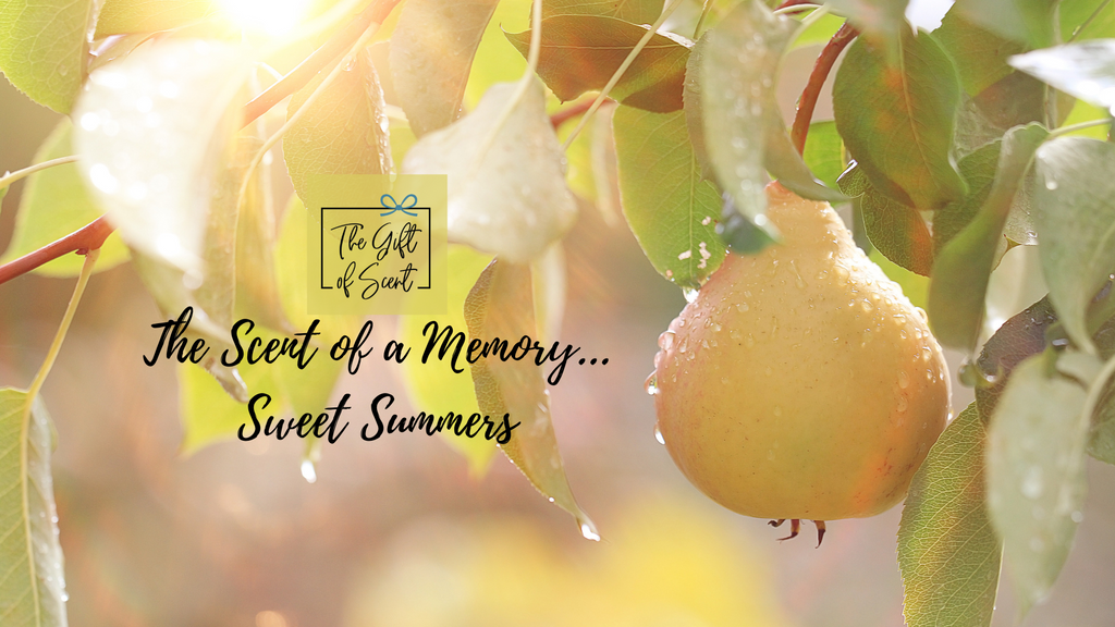 The Scent of a Memory... Sweet Summers