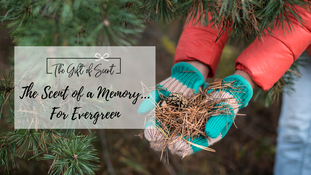 The Scent of a Memory... For Evergreen