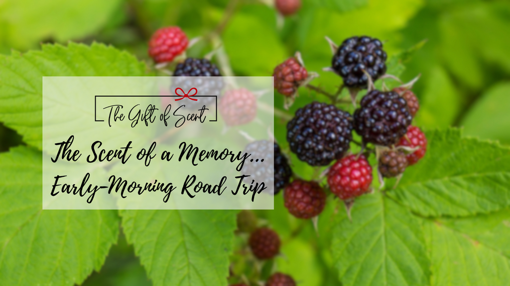 The Scent of a Memory... Early-Morning Road Trip