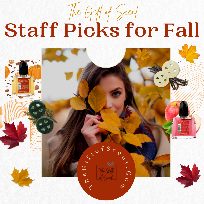 Staff Picks for Fall