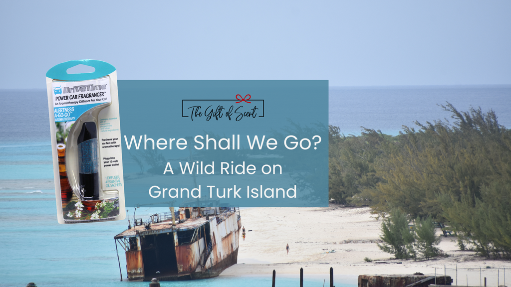 Where Shall We Go? A Wild Ride on Grand Turk Island