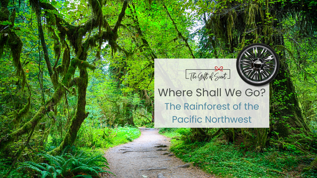 Where Shall We Go? The Rainforest of the Pacific Northwest