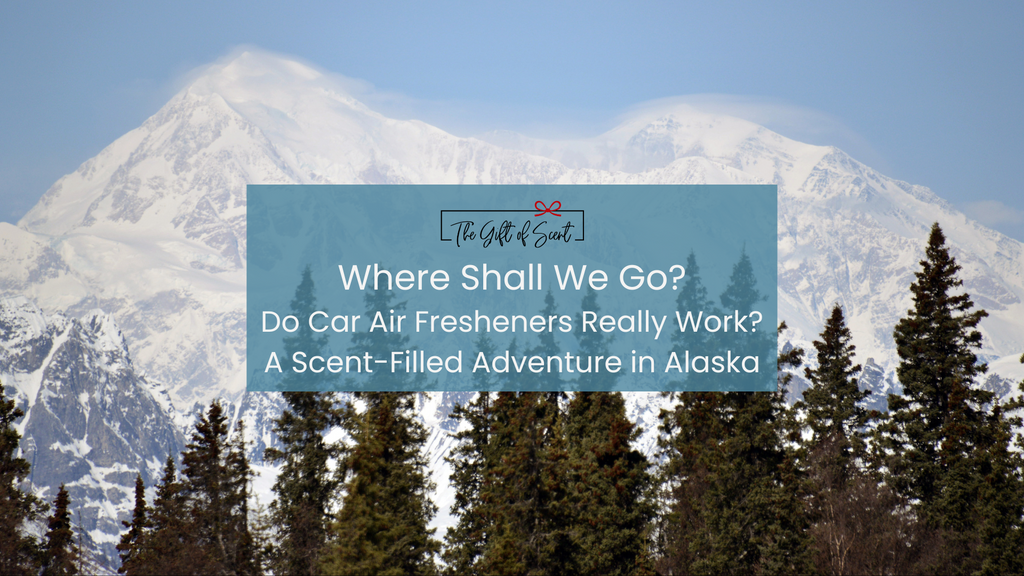 Where Shall We Go? Do Car Air Fresheners Really Work? A Scent-Filled Adventure in Alaska