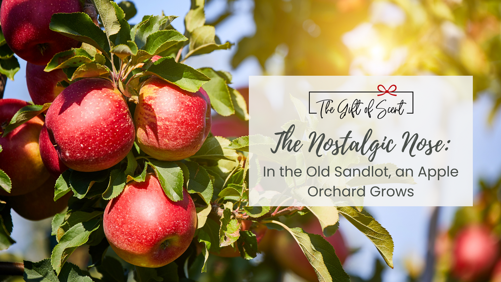 The Nostalgic Nose: In the Old Sandlot, an Apple Orchard Grows