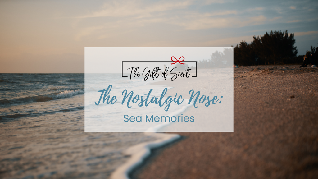 The Nostalgic Nose: Sea Memories