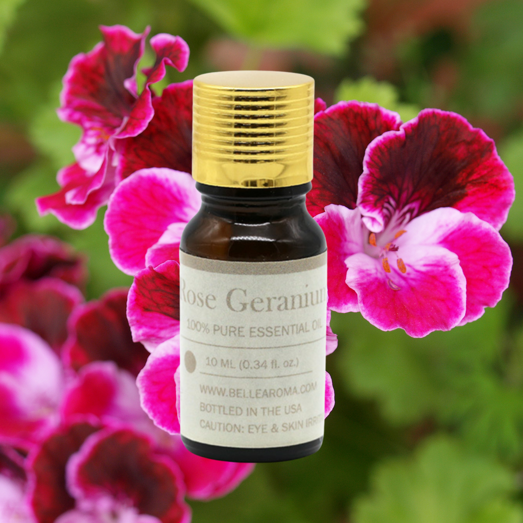 Pure Rose Geranium - Belle Aroma® 10ML Pure Essential Oil – The Gift of  Scent