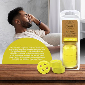Mountain Air No-Mess Tarts™ for Wax Warmers  Home Fragrance Accessories
