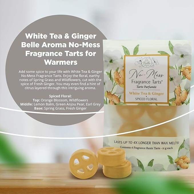 White Tea & Ginger (6 Mini Scented - 1-Pack) No-Mess Fragrance Tarts® for Wax Warmers  