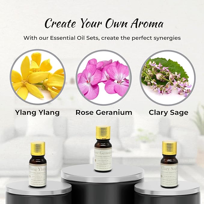 Belle Aroma Home Essential Oil Aromatherapy Set (3 Pack, 10ml)  