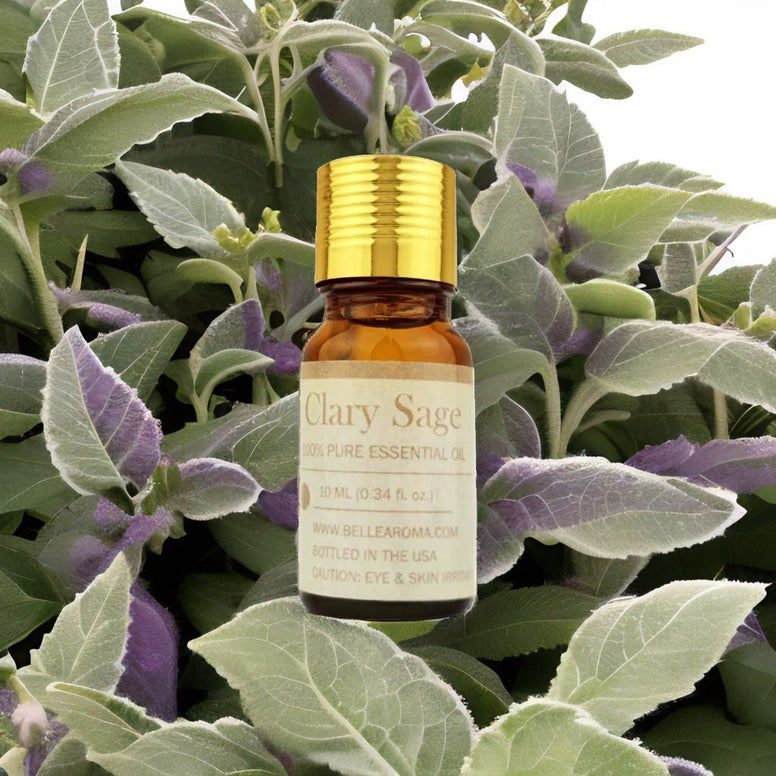 Pure Clary Sage - Belle Aroma® 10ML Pure Essential Oil  essential oil