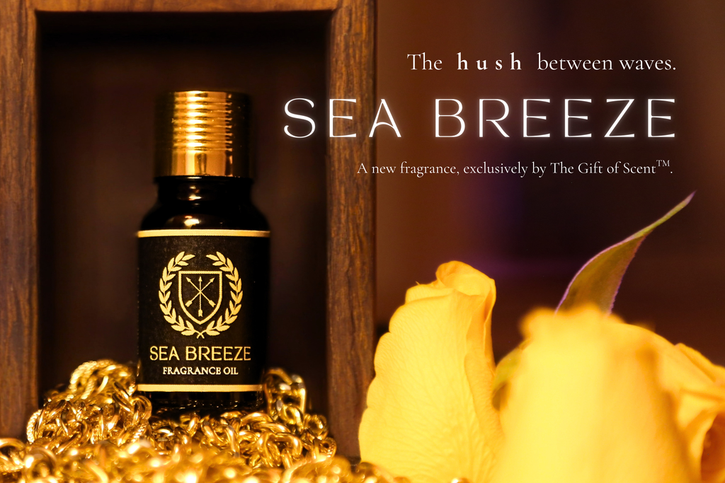 Golden Hour (Sandstone) Bundle