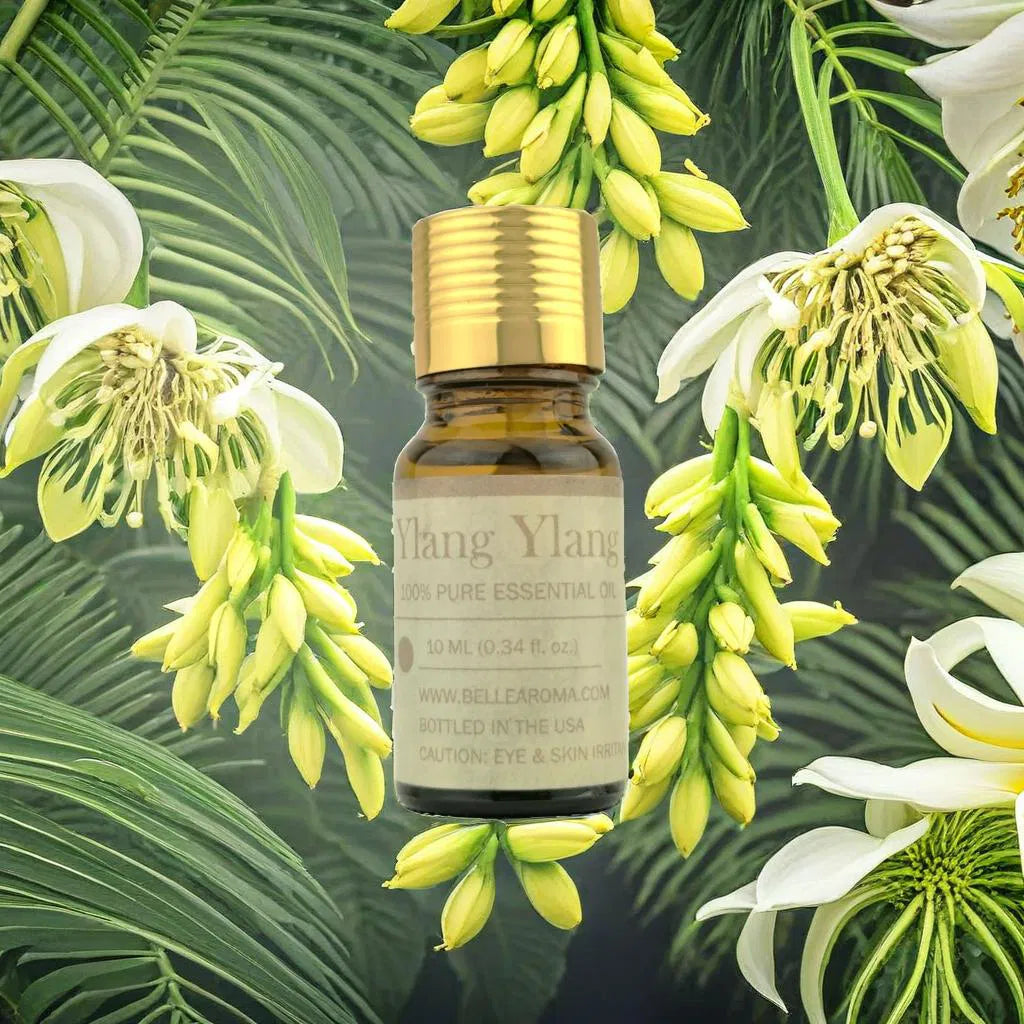 Pure Ylang Ylang - Belle Aroma® 10ML Pure Essential Oil  essential oil