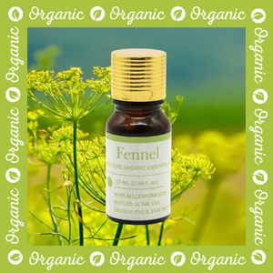 Organic Fennel - Belle Aroma® 10ML Organic Essential Oil  essential oil