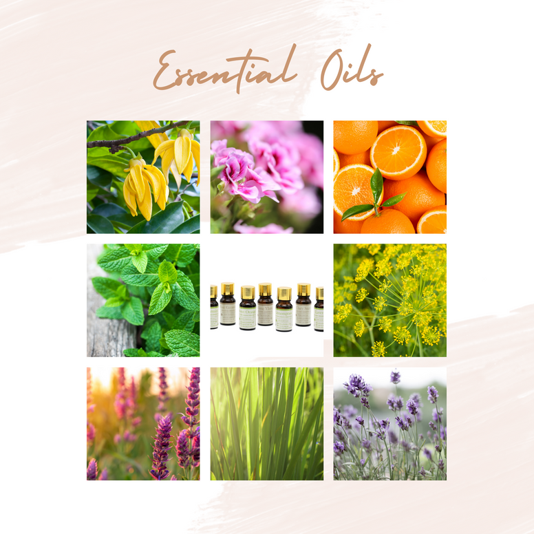Pure Rose Geranium - Belle Aroma® 10ML Pure Essential Oil  essential oil