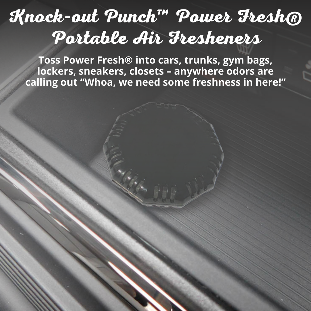 Power Fresh® Portable Air Fresheners (Single and 3-Pack Bundle Options)  Vehicle Air Fresheners