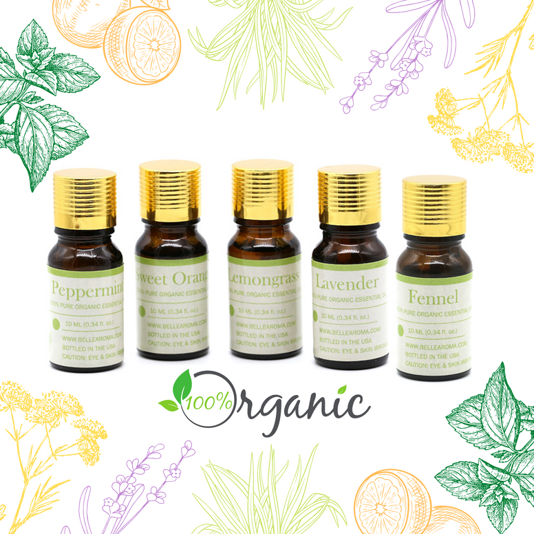 Organic Fennel - Belle Aroma® 10ML Organic Essential Oil  essential oil