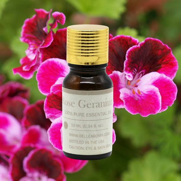 Geranium Essential Oil (10 ml)