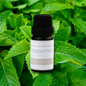 Pure Peppermint - Belle Aroma® 10ML Pure Essential Oil  essential oil