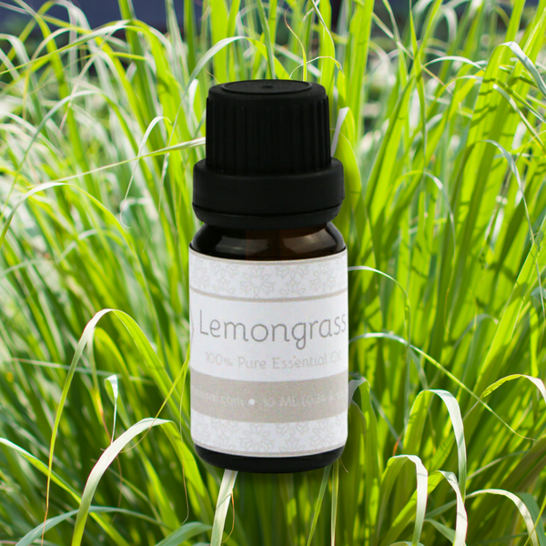 Pure Lemongrass - Belle Aroma® 10ML Pure Essential Oil – The Gift of Scent