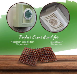 Exotic Teak Fragrance Wafers™ for ScentSlides®  Home Fragrance Accessories